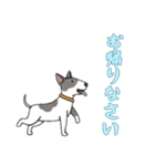[お帰りなさい専用]ブルテリア（個別スタンプ：3）