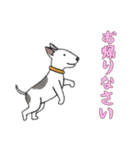 [お帰りなさい専用]ブルテリア（個別スタンプ：4）