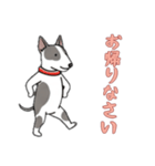 [お帰りなさい専用]ブルテリア（個別スタンプ：5）