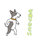 [お帰りなさい専用]ブルテリア（個別スタンプ：6）