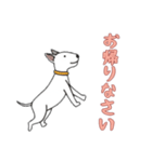 [お帰りなさい専用]ブルテリア（個別スタンプ：7）