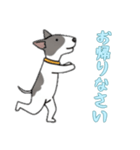 [お帰りなさい専用]ブルテリア（個別スタンプ：9）