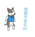 [お帰りなさい専用]ブルテリア（個別スタンプ：11）
