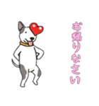 [お帰りなさい専用]ブルテリア（個別スタンプ：12）