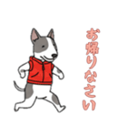 [お帰りなさい専用]ブルテリア（個別スタンプ：13）