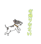[お帰りなさい専用]ブルテリア（個別スタンプ：14）