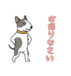 [お帰りなさい専用]ブルテリア（個別スタンプ：15）