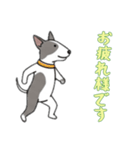 [お疲れ様です専用]ブルテリア（個別スタンプ：1）