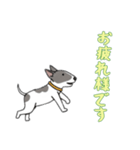 [お疲れ様です専用]ブルテリア（個別スタンプ：4）