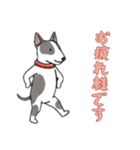 [お疲れ様です専用]ブルテリア（個別スタンプ：5）
