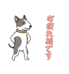 [お疲れ様です専用]ブルテリア（個別スタンプ：7）