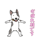 [お疲れ様です専用]ブルテリア（個別スタンプ：10）