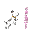[お疲れ様です専用]ブルテリア（個別スタンプ：12）