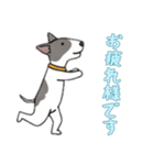 [お疲れ様です専用]ブルテリア（個別スタンプ：13）