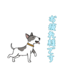 [お疲れ様です専用]ブルテリア（個別スタンプ：15）