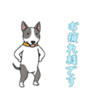 [お疲れ様です専用]ブルテリア（個別スタンプ：16）