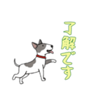 [了解です専用]ブルテリア（個別スタンプ：6）