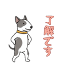 [了解です専用]ブルテリア（個別スタンプ：7）