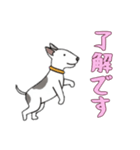 [了解です専用]ブルテリア（個別スタンプ：10）