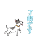 [了解です専用]ブルテリア（個別スタンプ：11）