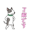 [了解です専用]ブルテリア（個別スタンプ：12）