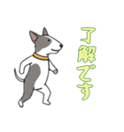 [了解です専用]ブルテリア（個別スタンプ：16）