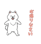 [お帰りなさい専用]サモエド（個別スタンプ：4）