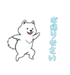 [お帰りなさい専用]サモエド（個別スタンプ：6）