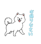 [お帰りなさい専用]サモエド（個別スタンプ：8）