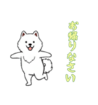 [お帰りなさい専用]サモエド（個別スタンプ：9）