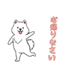 [お帰りなさい専用]サモエド（個別スタンプ：10）