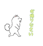 [お帰りなさい専用]サモエド（個別スタンプ：11）