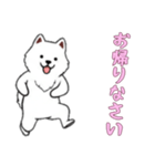 [お帰りなさい専用]サモエド（個別スタンプ：13）