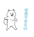 [お帰りなさい専用]サモエド（個別スタンプ：14）