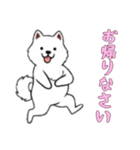 [お帰りなさい専用]サモエド（個別スタンプ：15）