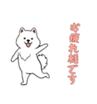 [お疲れ様です専用]サモエド（個別スタンプ：2）