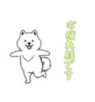[お疲れ様です専用]サモエド（個別スタンプ：5）