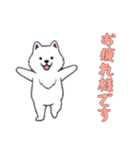 [お疲れ様です専用]サモエド（個別スタンプ：6）