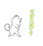 [お疲れ様です専用]サモエド（個別スタンプ：7）