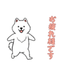 [お疲れ様です専用]サモエド（個別スタンプ：8）