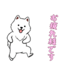 [お疲れ様です専用]サモエド（個別スタンプ：9）