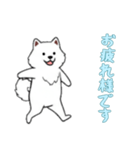 [お疲れ様です専用]サモエド（個別スタンプ：10）