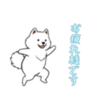 [お疲れ様です専用]サモエド（個別スタンプ：14）