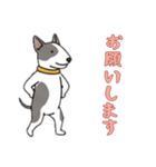 [お願いします専用]ブルテリア（個別スタンプ：2）