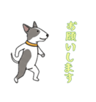 [お願いします専用]ブルテリア（個別スタンプ：3）