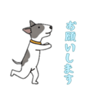 [お願いします専用]ブルテリア（個別スタンプ：8）