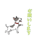 [お願いします専用]ブルテリア（個別スタンプ：9）
