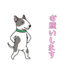 [お願いします専用]ブルテリア（個別スタンプ：13）