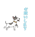 [お願いします専用]ブルテリア（個別スタンプ：16）