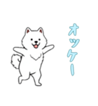 [オッケー専用]サモエド（個別スタンプ：4）